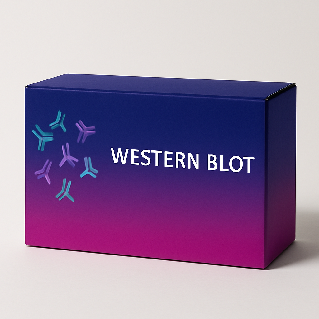 3 Color Protein Molecular Weight Marker High Range (8-250 kDa) - 500 µL