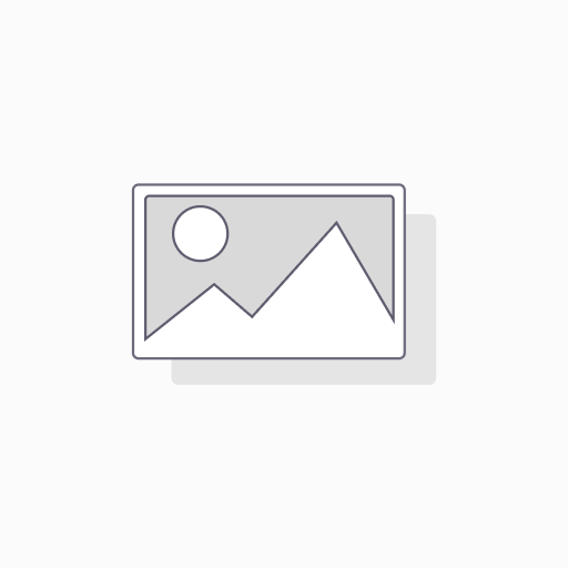 KLF5 (E5K6H) Rabbit Monoclonal Antibody