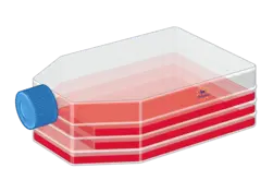 [FM-P60165] Colonic Epithelial Cell Medium