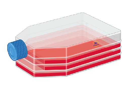 [FM-P60102] Alveolar Epithelial Cell Medium