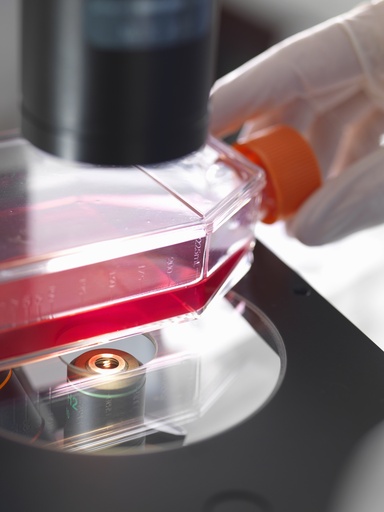 [AS-IMMUNE-111] SARS-CoV-2 Membrane Protein Cell Line