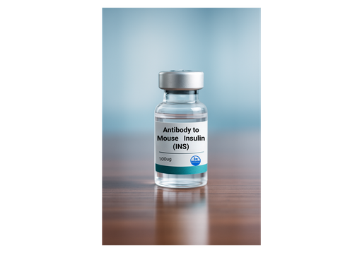 [GEN - A90448Mu01-100ug] Antibody to Mouse Insulin (INS)