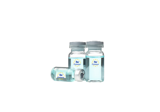 [GEN - PYT284-2ug] VEGF C Rat (152 a.a.)